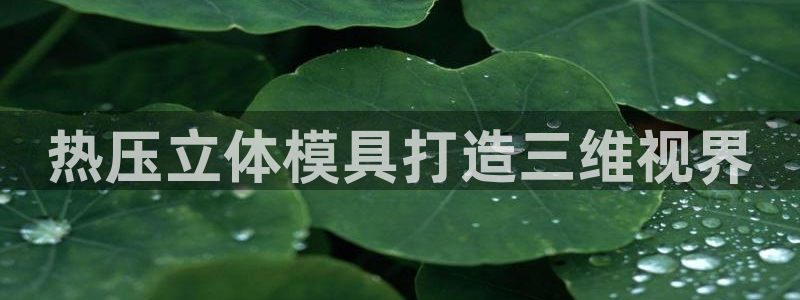 易倍纤酵素效果好吗：热压立体模具打造三维视界
