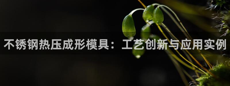 杭州易倍达科技有限公司怎么样：不锈钢热压成形模具：工艺创