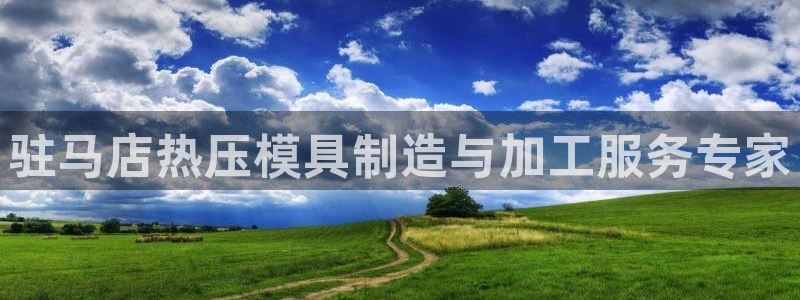 emc服务器是干啥的：驻马店热压模具制造与加工服务专家