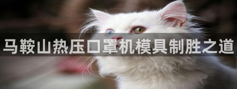 emc易倍出空款：马鞍山热压口罩机模具制胜之道