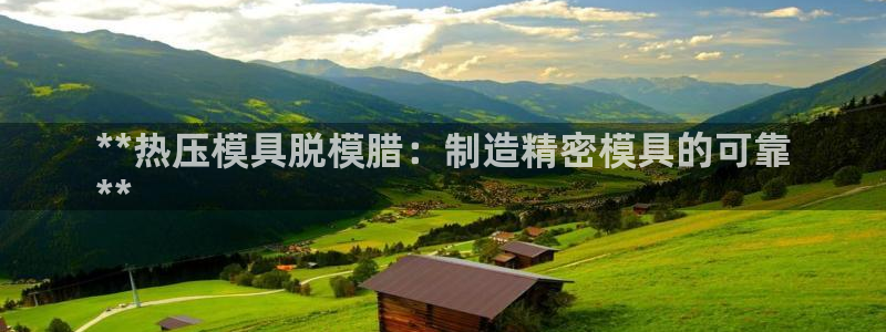 易倍单词app：**热压模具脱模腊：制造精密模具的可靠
