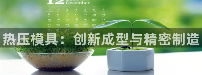 emc易贝体育怎么样：热压模具：创新成型与精密制造