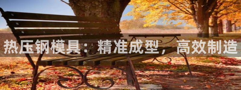 易倍app官网下载：热压钢模具：精准成型，高效制造
