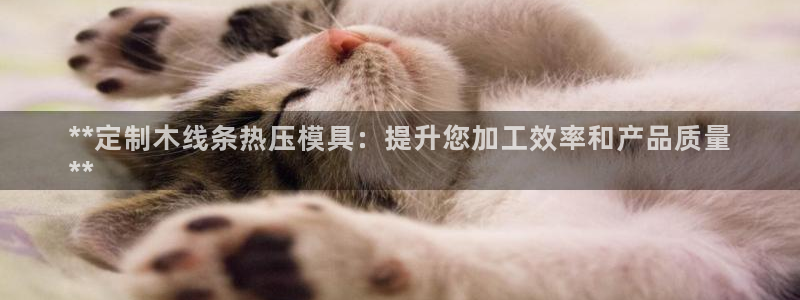 易倍网络技术有限公司招聘：**定制木线条热压模具：提升您