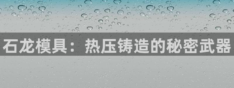 易倍达怎么样：石龙模具：热压铸造的秘密武器