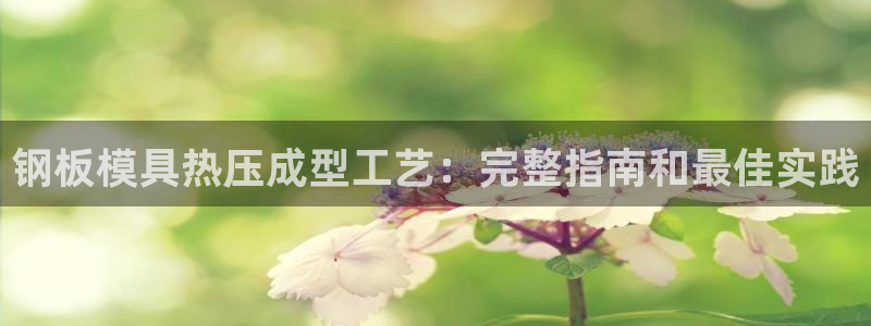 易倍申和易倍清的区别：钢板模具热压成型工艺：完整指南和最