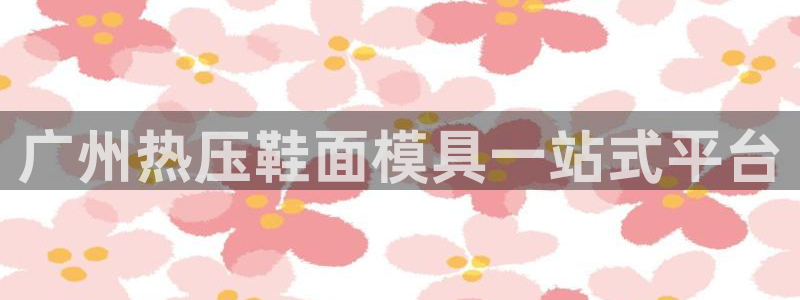 四川易倍易企业管理有限公司：广州热压鞋面模具一站式平台