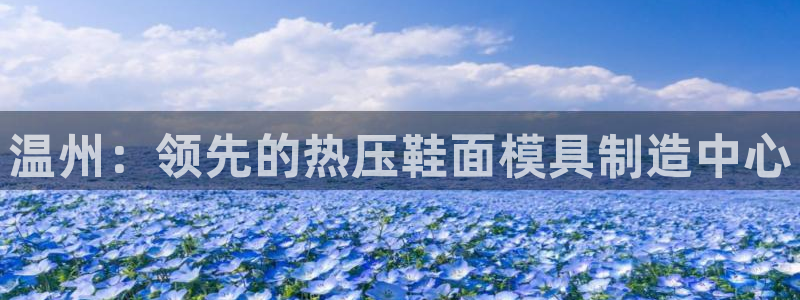 易倍单词登录平台：温州：领先的热压鞋面模具制造中心