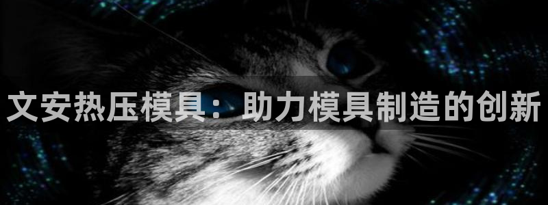 易倍申可以长期服用吗：文安热压模具：助力模具制造的创新