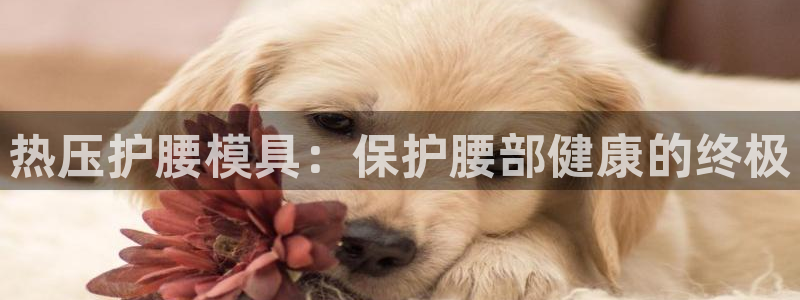 易倍申片能长期服用吗：热压护腰模具：保护腰部健康的终极