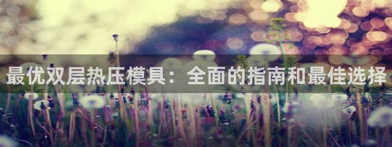 易倍申竞品：最优双层热压模具：全面的指南和最佳选择