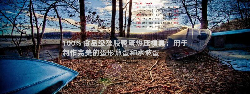 emc倍频只能是奇数倍吗：100% 食品级硅胶鸭蛋热压模