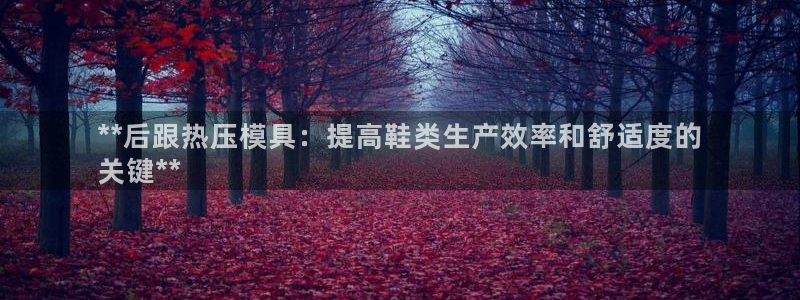 易倍申片说明书：**后跟热压模具：提高鞋类生产效率和舒适