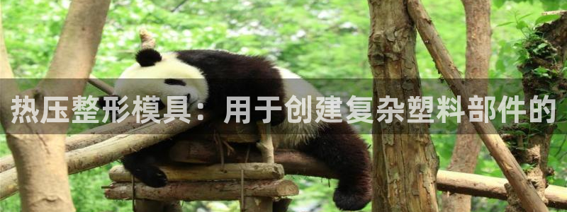 易倍科华生物科技有限公司：热压整形模具：用于创建复杂塑料