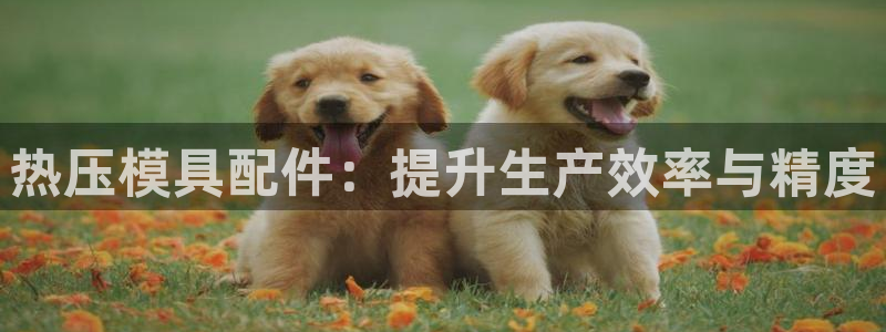 易倍EMC网址：热压模具配件：提升生产效率与精度