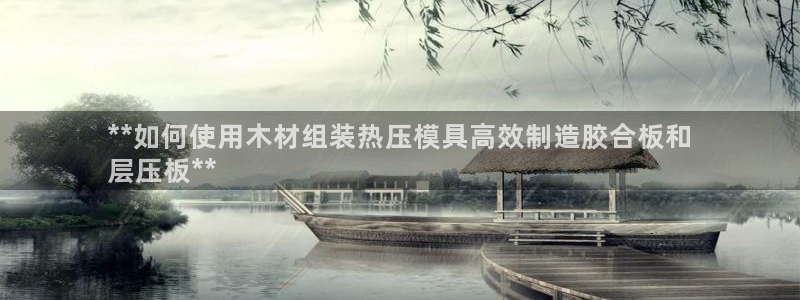emc易倍官网首页进入：**如何使用木材组装热压模具高效