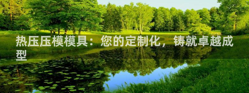 EMC易倍官网招聘：热压压模模具：您的定制化，铸就卓越成