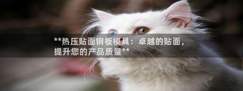 杭州易倍达科技有限公司怎么样：**热压贴面钢板模具：卓越