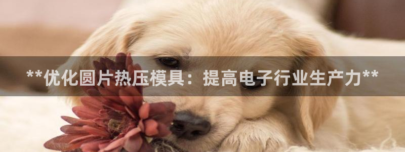 易倍全站：**优化圆片热压模具：提高电子行业生产力**