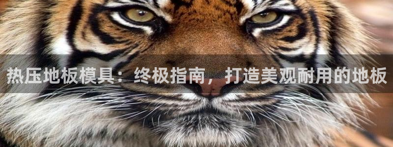 emc 倍频：热压地板模具：终极指南，打造美观耐用的地板
