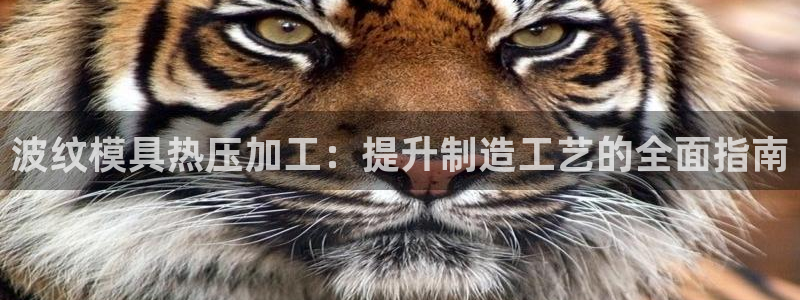 易倍申片的功效与作用：波纹模具热压加工：提升制造工艺的全
