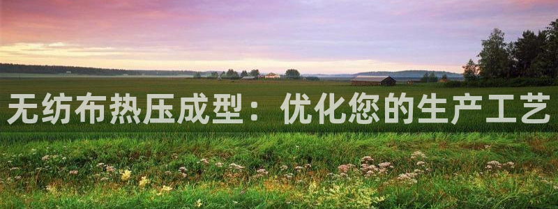 emc易倍官网首页：无纺布热压成型：优化您的生产工艺