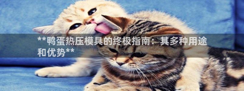 emc全站易倍：**鸭蛋热压模具的终极指南：其多种用途
