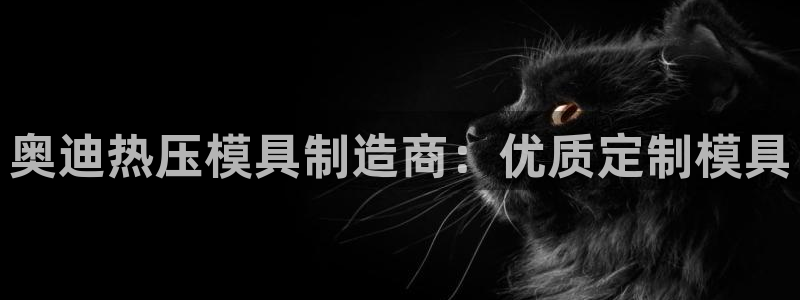 emc全站ag：奥迪热压模具制造商：优质定制模具