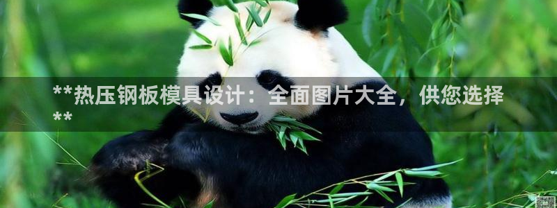 易倍科华生物科技有限公司：**热压钢板模具设计：全面图片