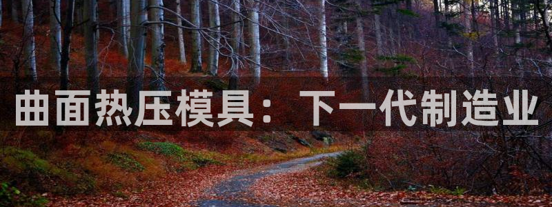 易倍申的副作用：曲面热压模具：下一代制造业