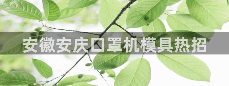 emc易倍老板：安徽安庆口罩机模具热招
