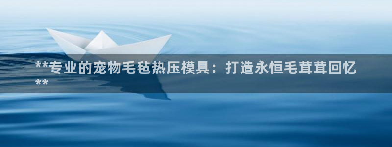 易倍申片：**专业的宠物毛毡热压模具：打造永恒毛茸茸回忆
