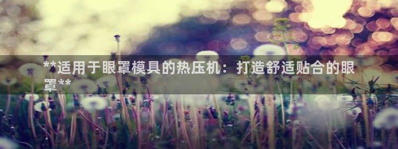易倍申生产厂家：**适用于眼罩模具的热压机：打造舒适贴合
