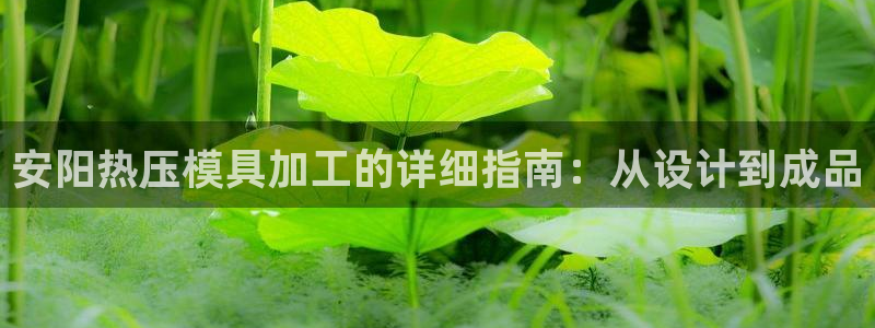 emc全站下载地址：安阳热压模具加工的详细指南：从设计到