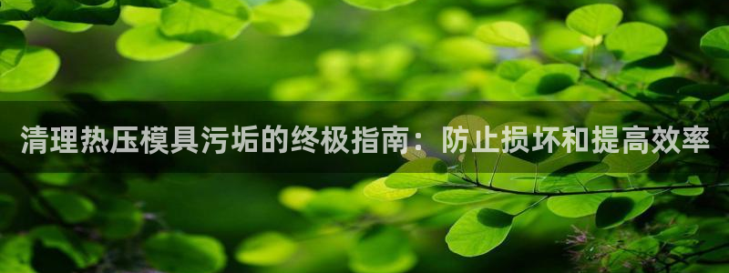 易倍emc全站：清理热压模具污垢的终极指南：防止损坏和提