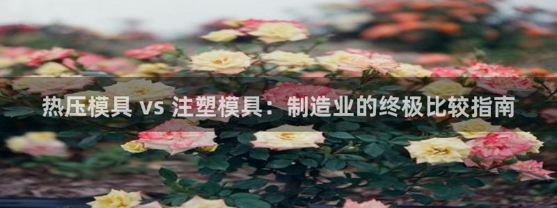 EMC倍频系数：热压模具 vs 注塑模具：制造业的终极比