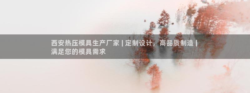 易倍纤代餐奶昔怎么样：西安热压模具生产厂家 | 定制设计