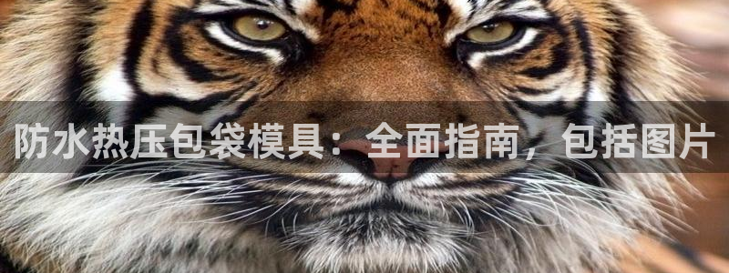 易倍单词平台：防水热压包袋模具：全面指南，包括图片
