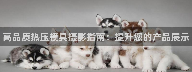 emc倍频干扰：高品质热压模具摄影指南：提升您的产品展示