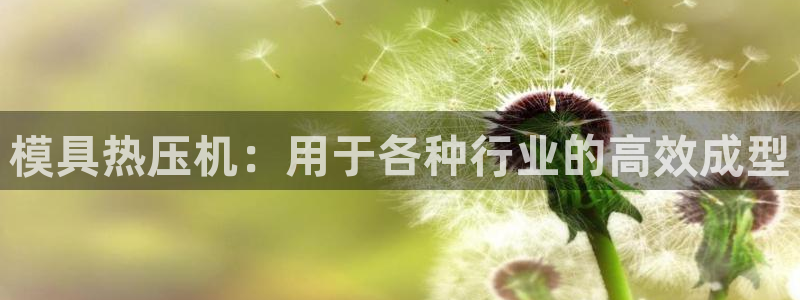 易倍网络技术有限公司官网：模具热压机：用于各种行业的高效