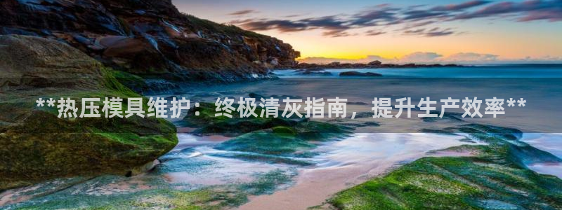 易倍达科技有限公司代运营：**热压模具维护：终极清灰指南