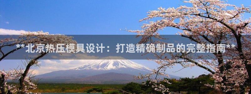 易倍申片能长期服用吗：**北京热压模具设计：打造精确制品
