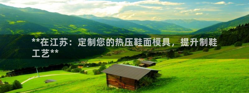 易倍网络技术有限公司官网：**在江苏：定制您的热压鞋面模
