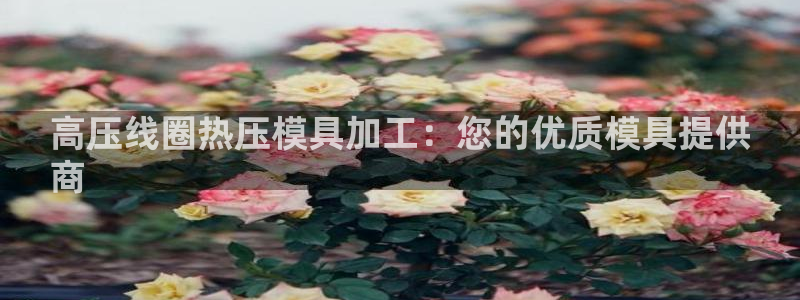 易倍纤瘦身三部曲的价格：高压线圈热压模具加工：您的优质模