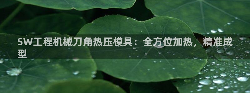 emc易倍官网首页进入：SW工程机械刀角热压模具：全方位