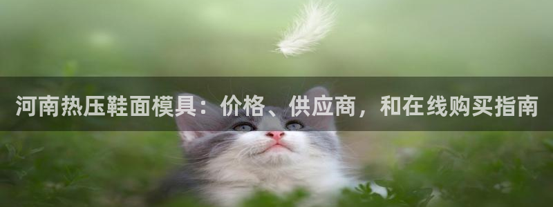 emc易倍：河南热压鞋面模具：价格、供应商，和在线购买指