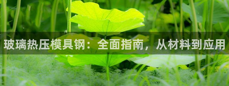 emc全站下载地址：玻璃热压模具钢：全面指南，从材料到应