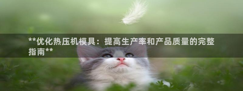 emc易倍出空款：**优化热压机模具：提高生产率和产品质