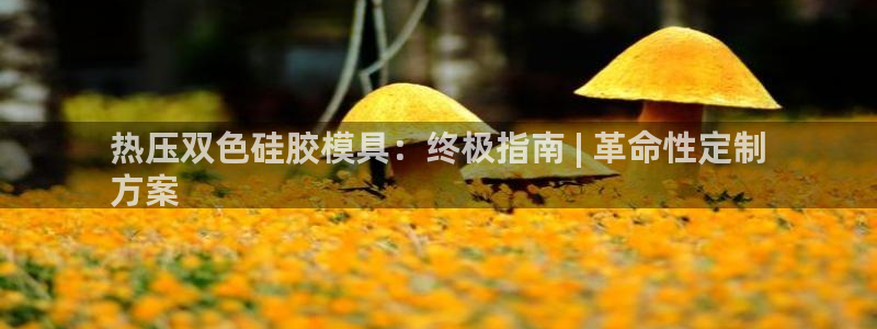 南京易倍易电子科技有限公司：热压双色硅胶模具：终极指南 