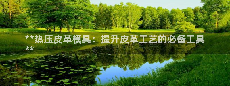 易倍申能长期吃吗：**热压皮革模具：提升皮革工艺的必备工